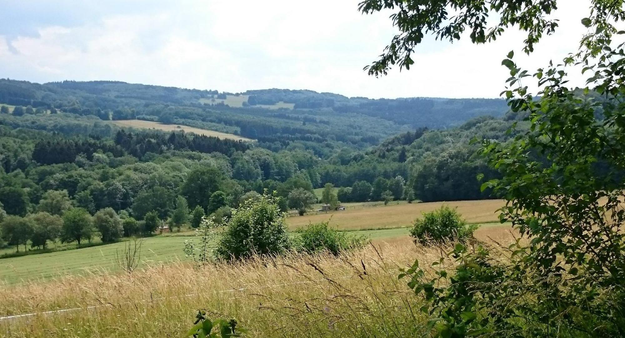 Hardt  Ferienhaus Zur Schoenen Aussicht מראה חיצוני תמונה
